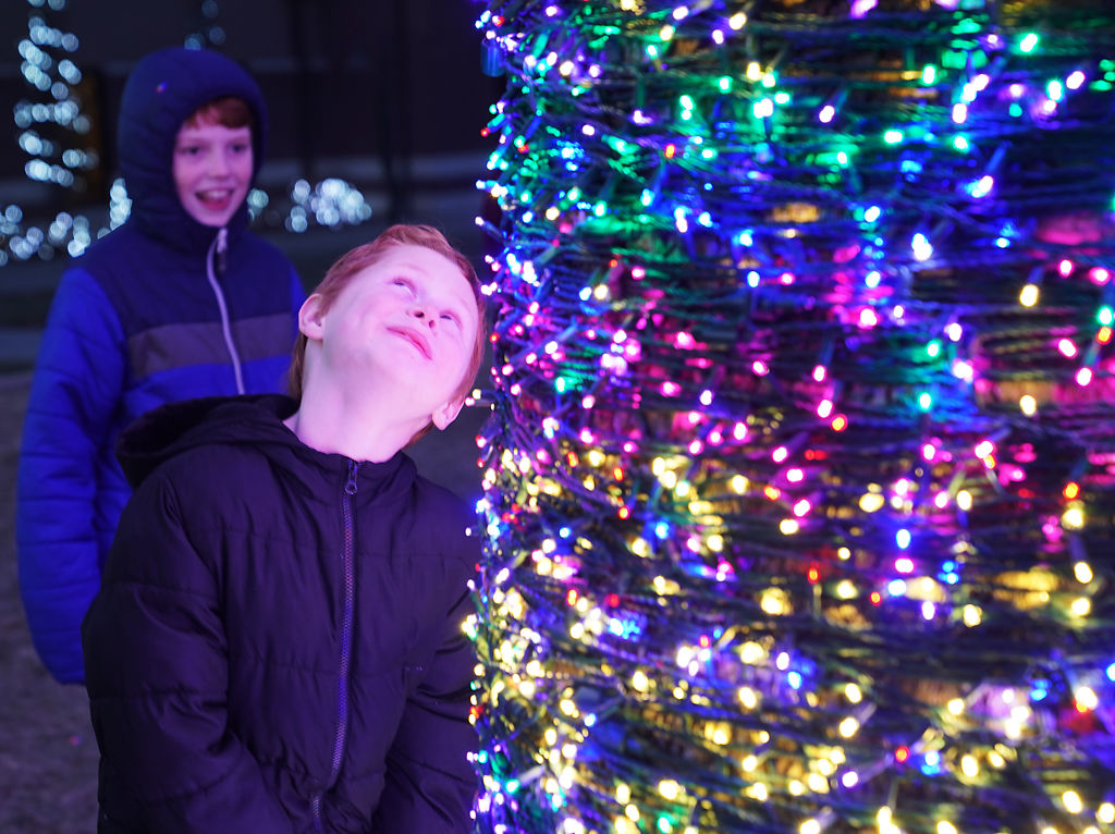 Davis and Dutch Keith stare up at the lights at The Crossing magic tree
